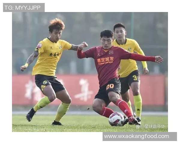 中国足球外援的崛起与挑战：如何提升联赛竞争力与国际形象