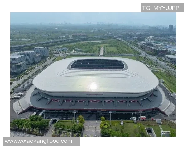 国内专业足球场建设现状与未来发展趋势分析