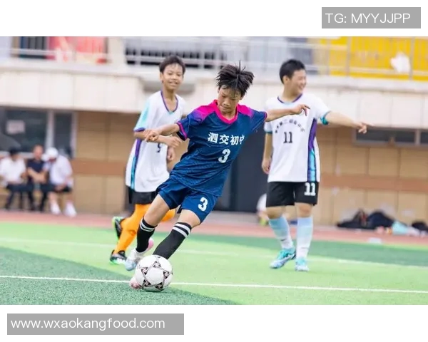 精彩足球赛视频回顾激情瞬间与战术分析全景呈现