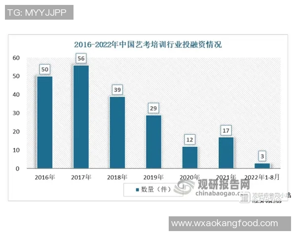 中国与尼西亚的历史交汇与未来合作展望分析